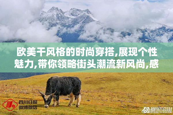 欧美干风格的时尚穿搭,展现个性魅力,带你领略街头潮流新风尚,感受