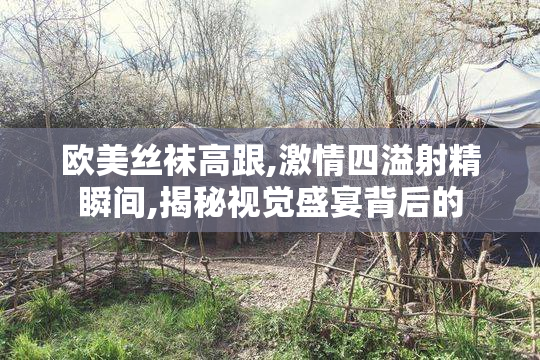 欧美丝袜高跟,激情四溢射精瞬间,揭秘视觉盛宴背后的