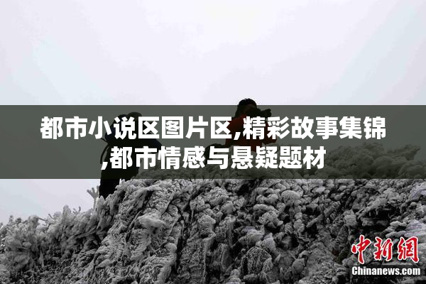 都市小说区图片区,精彩故事集锦,都市情感与悬疑题材