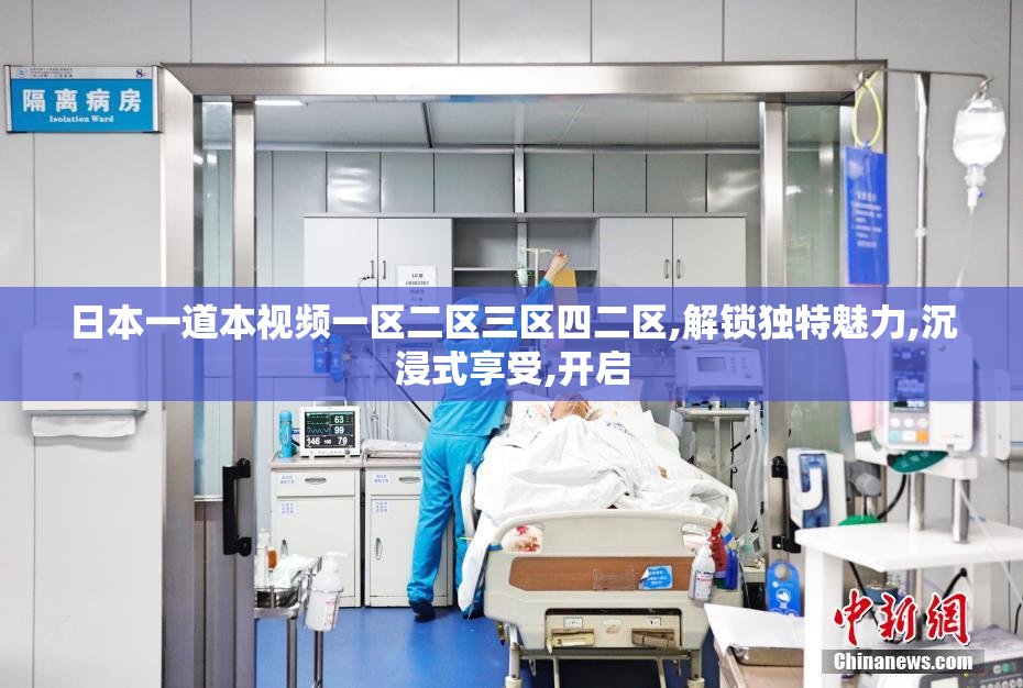 日本一道本视频一区二区三区四二区,解锁独特魅力,沉浸式享受,开启