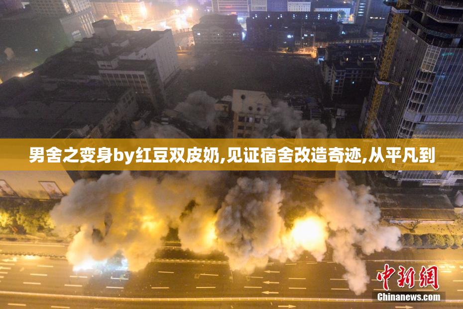 男舍之变身by红豆双皮奶,见证宿舍改造奇迹,从平凡到