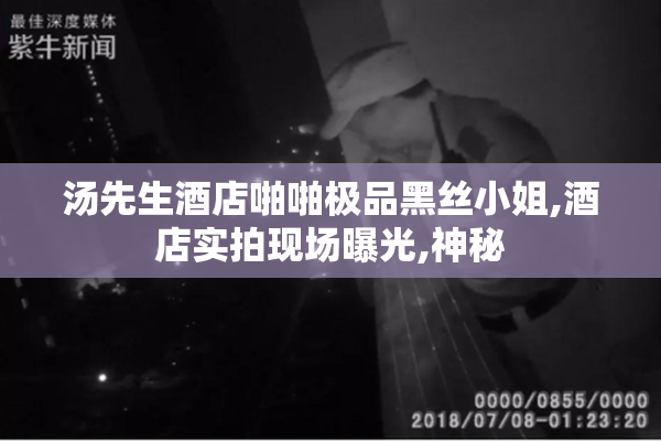 汤先生酒店啪啪极品黑丝小姐,酒店实拍现场曝光,神秘