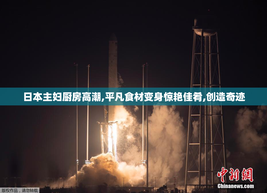 日本主妇厨房高潮,平凡食材变身惊艳佳肴,创造奇迹