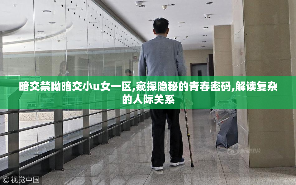 暗交禁呦暗交小u女一区,窥探隐秘的青春密码,解读复杂的人际关系