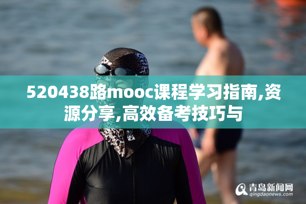 520438路mooc课程学习指南,资源分享,高效备考技巧与