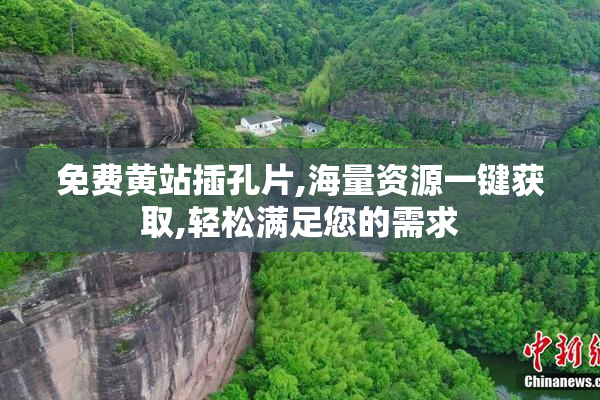 免费黄站插孔片,海量资源一键获取,轻松满足您的需求