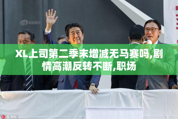XL上司第二季末增减无马赛吗,剧情高潮反转不断,职场