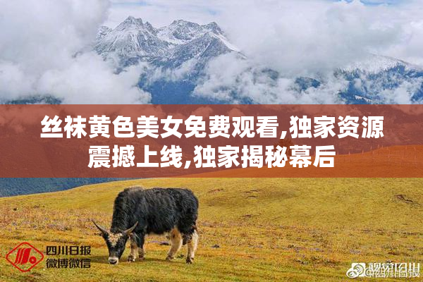 丝袜黄色美女免费观看,独家资源震撼上线,独家揭秘幕后