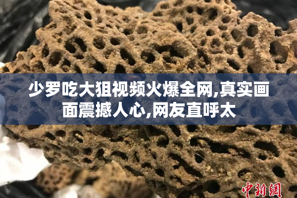 少罗吃大狙视频火爆全网,真实画面震撼人心,网友直呼太
