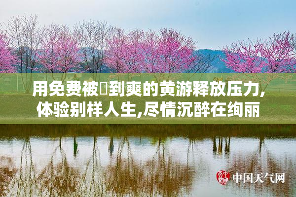 用免费被❌到爽的黄游释放压力,体验别样人生,尽情沉醉在绚丽