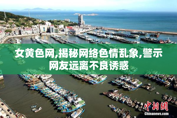 女黄色网,揭秘网络色情乱象,警示网友远离不良诱惑