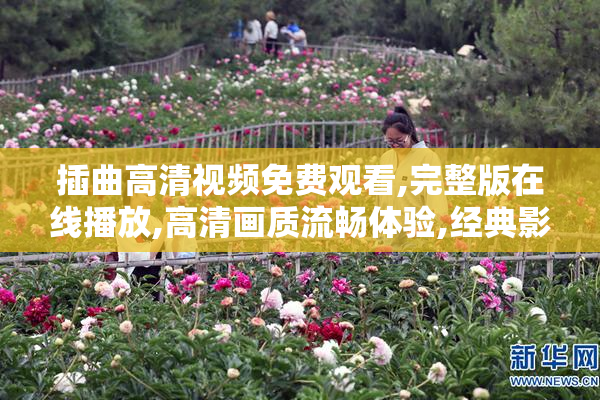 插曲高清视频免费观看,完整版在线播放,高清画质流畅体验,经典影视