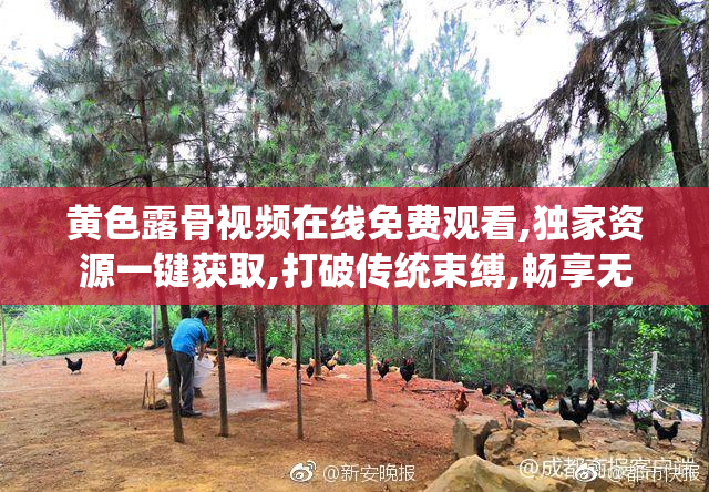 黄色露骨视频在线免费观看,独家资源一键获取,打破传统束缚,畅享无