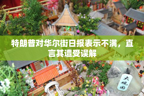 特朗普对华尔街日报表示不满，直言其遭受误解