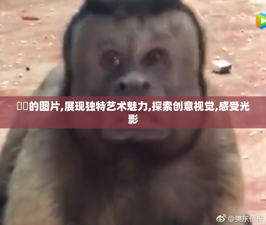 喿畐的图片,展现独特艺术魅力,探索创意视觉,感受光影