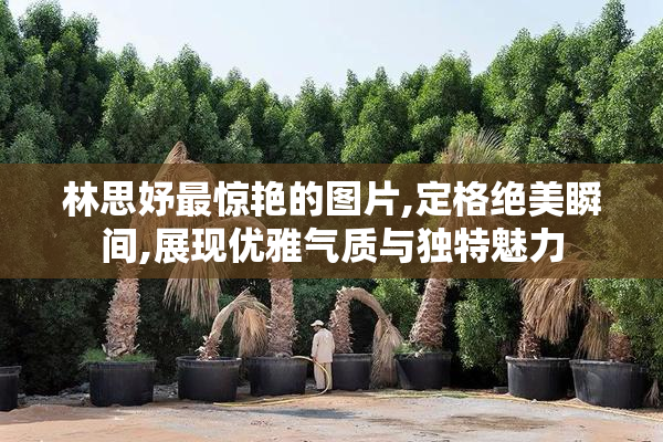 林思妤最惊艳的图片,定格绝美瞬间,展现优雅气质与独特魅力