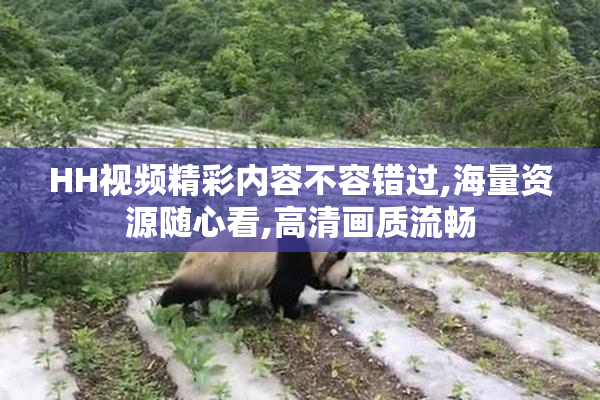 HH视频精彩内容不容错过,海量资源随心看,高清画质流畅