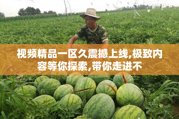 视频精品一区久震撼上线,极致内容等你探索,带你走进不