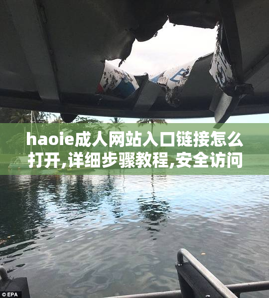 haoie成人网站入口链接怎么打开,详细步骤教程,安全访问方法与
