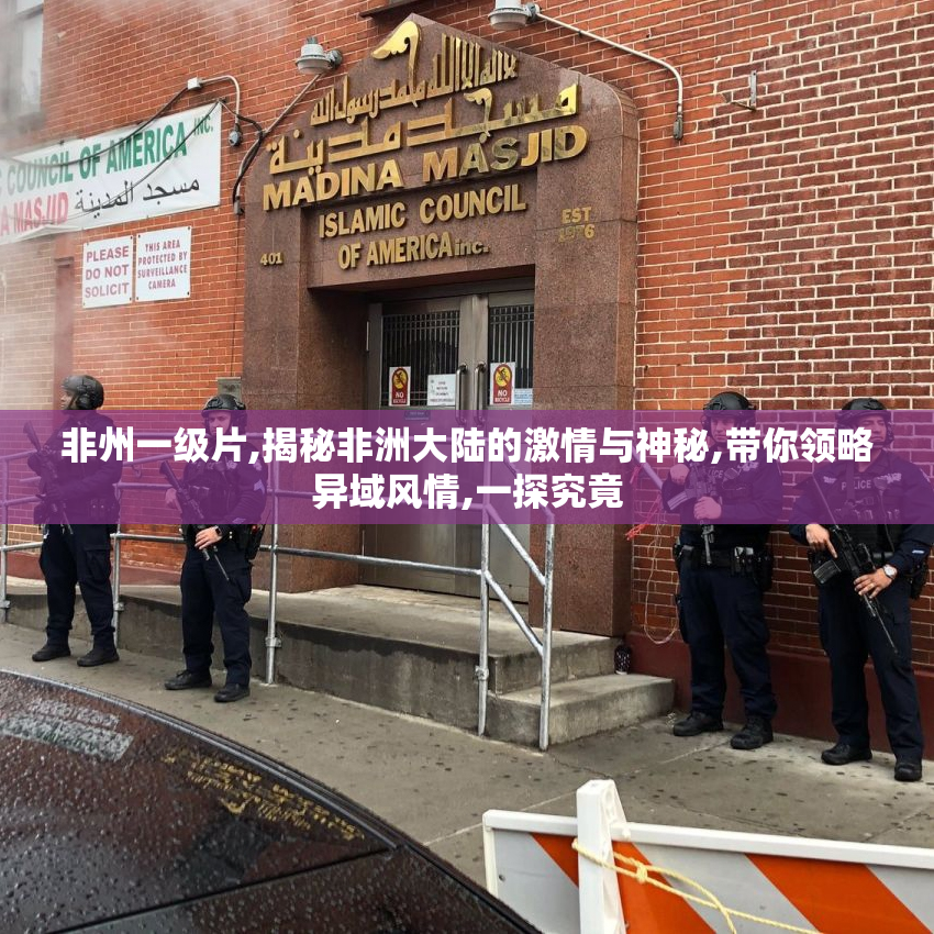 非州一级片,揭秘非洲大陆的激情与神秘,带你领略异域风情,一探究竟