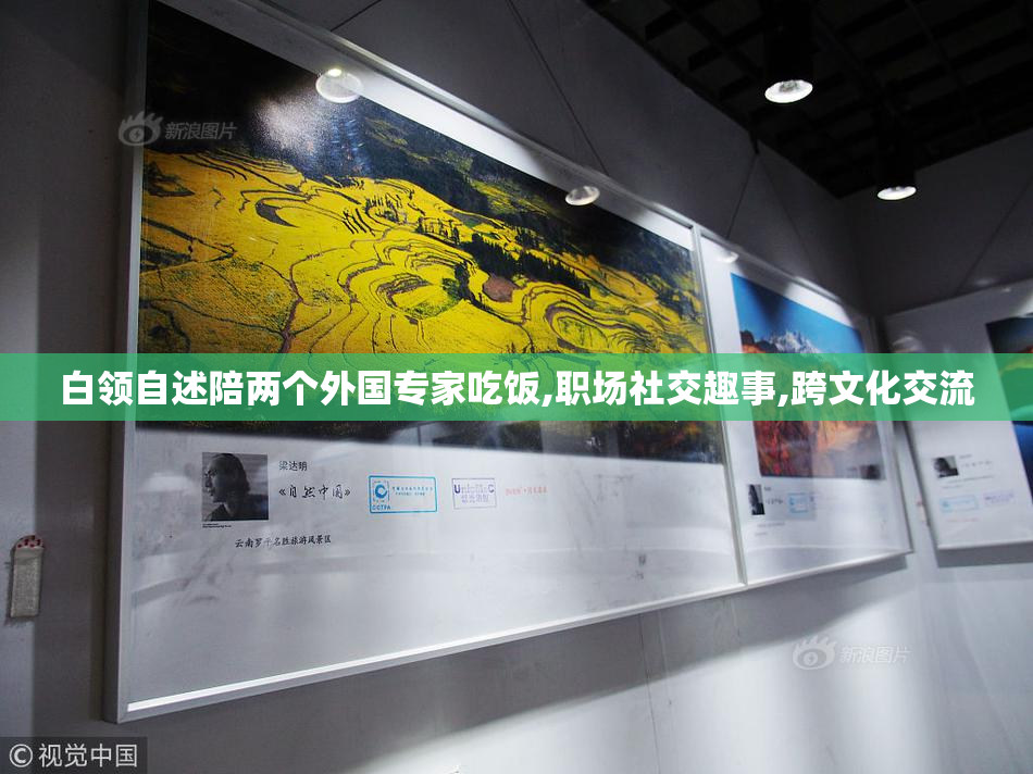 白领自述陪两个外国专家吃饭,职场社交趣事,跨文化交流