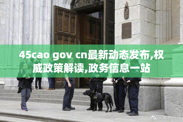 45cao gov cn最新动态发布,权威政策解读,政务信息一站