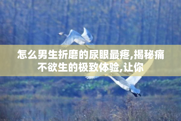 怎么男生折磨的尿眼最疼,揭秘痛不欲生的极致体验,让你