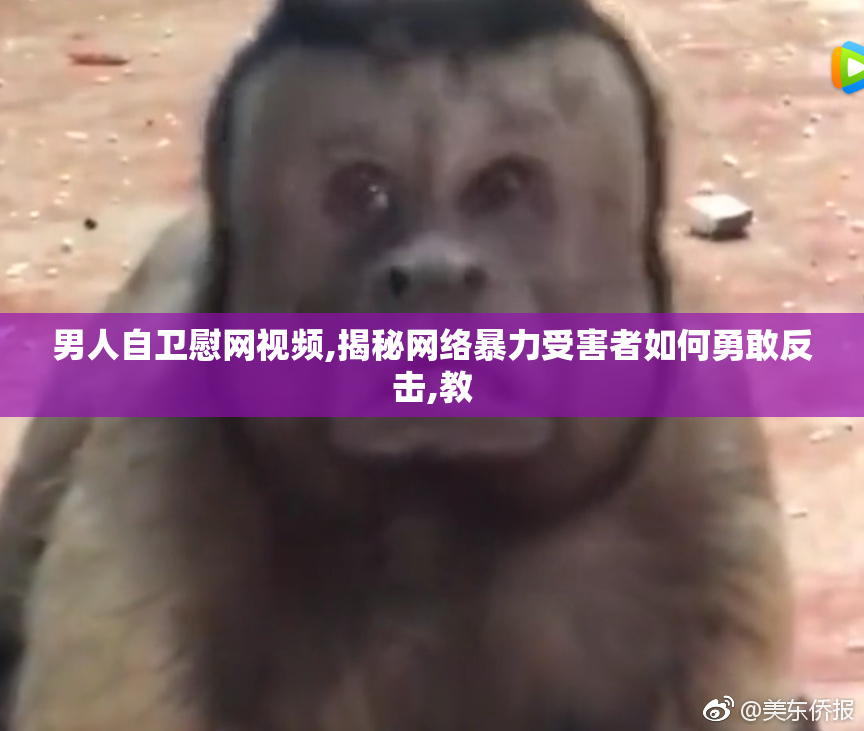 男人自卫慰网视频,揭秘网络暴力受害者如何勇敢反击,教