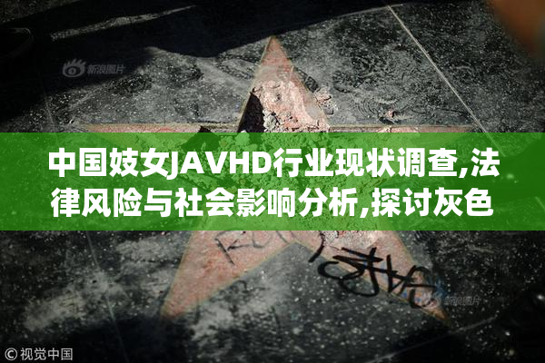 中国妓女JAVHD行业现状调查,法律风险与社会影响分析,探讨灰色地带