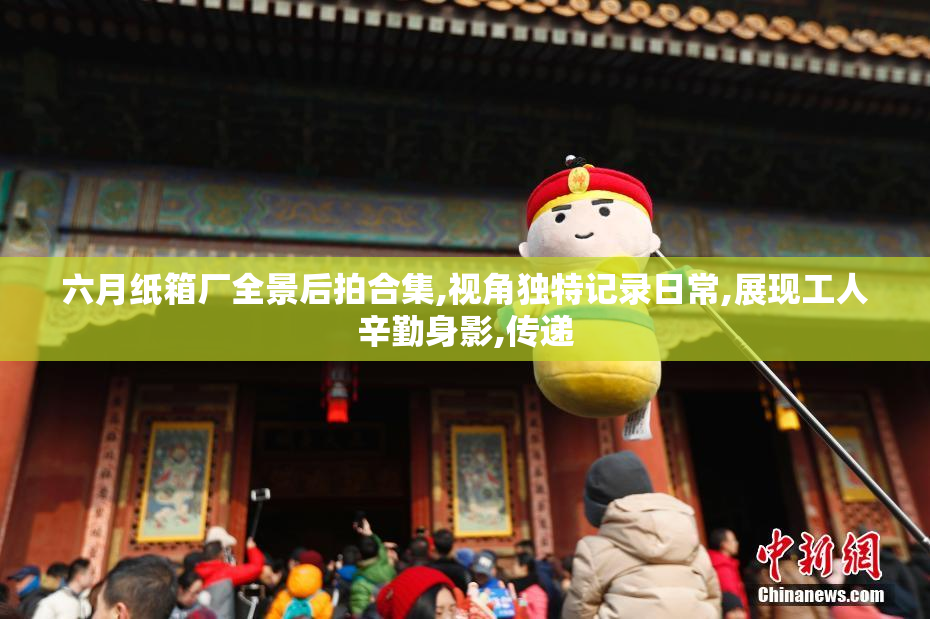 六月纸箱厂全景后拍合集,视角独特记录日常,展现工人辛勤身影,传递