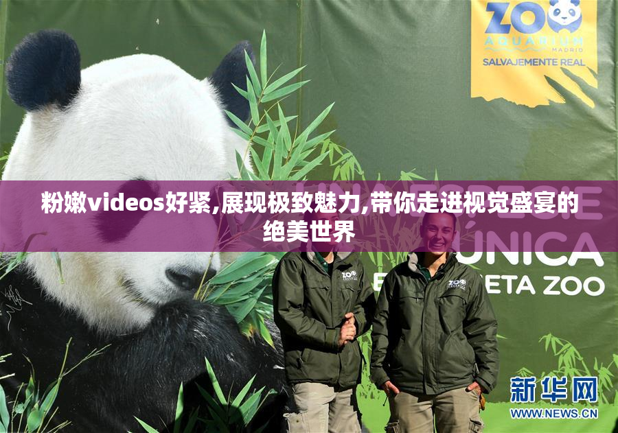 粉嫩videos好紧,展现极致魅力,带你走进视觉盛宴的绝美世界