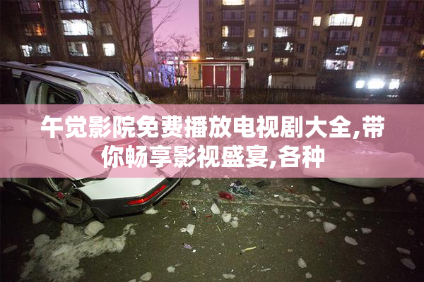 午觉影院免费播放电视剧大全,带你畅享影视盛宴,各种