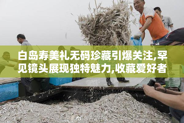 白岛寿美礼无码珍藏引爆关注,罕见镜头展现独特魅力,收藏爱好者的