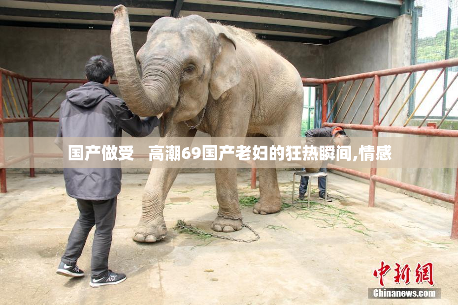 国产做受   高潮69国产老妇的狂热瞬间,情感