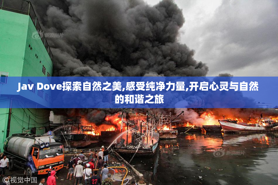 Jav Dove探索自然之美,感受纯净力量,开启心灵与自然的和谐之旅