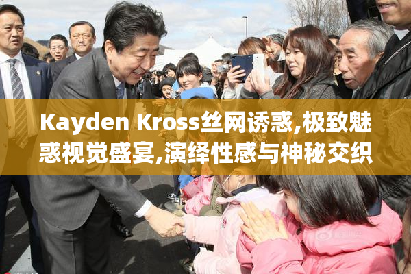 Kayden Kross丝网诱惑,极致魅惑视觉盛宴,演绎性感与神秘交织的