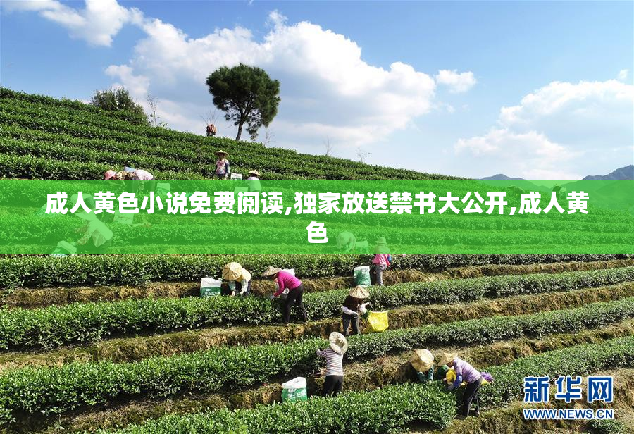成人黄色小说免费阅读,独家放送禁书大公开,成人黄色