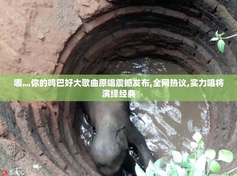 哪灬你的鸣巴好大歌曲原唱震撼发布,全网热议,实力唱将演绎经典