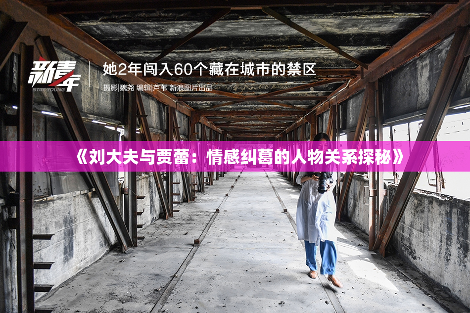 《刘大夫与贾蕾：情感纠葛的人物关系探秘》