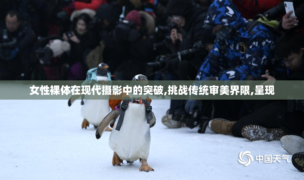 女性裸体在现代摄影中的突破,挑战传统审美界限,呈现