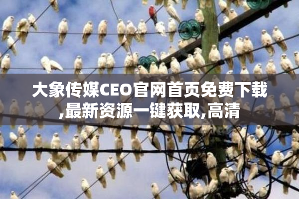 大象传媒CEO官网首页免费下载,最新资源一键获取,高清