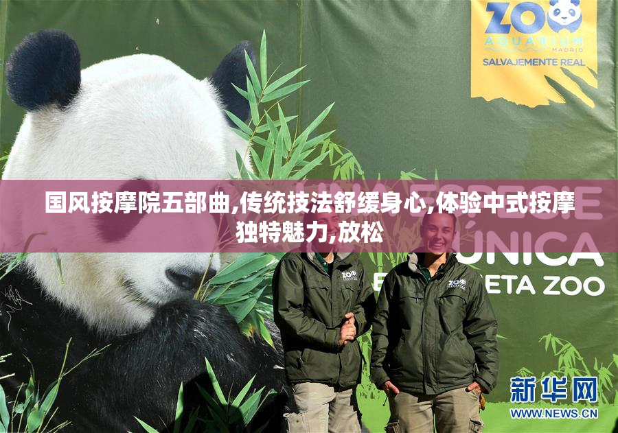 国风按摩院五部曲,传统技法舒缓身心,体验中式按摩独特魅力,放松