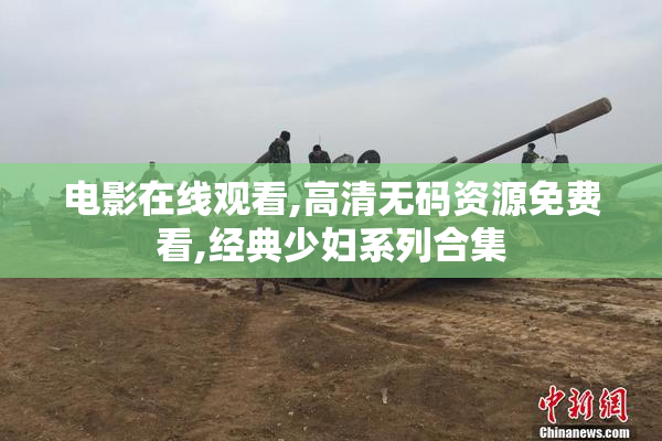 电影在线观看,高清无码资源免费看,经典少妇系列合集