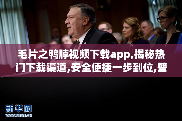 毛片之鸭脖视频下载app,揭秘热门下载渠道,安全便捷一步到位,警惕