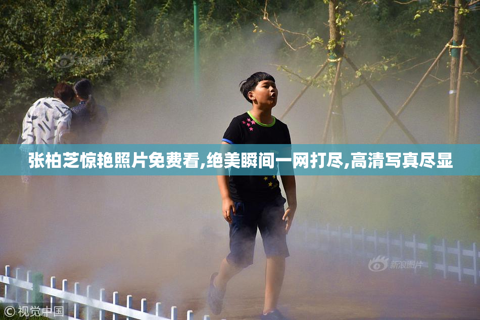 张柏芝惊艳照片免费看,绝美瞬间一网打尽,高清写真尽显