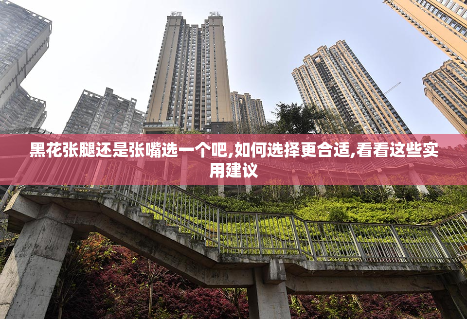 黑花张腿还是张嘴选一个吧,如何选择更合适,看看这些实用建议