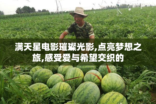 满天星电影璀璨光影,点亮梦想之旅,感受爱与希望交织的