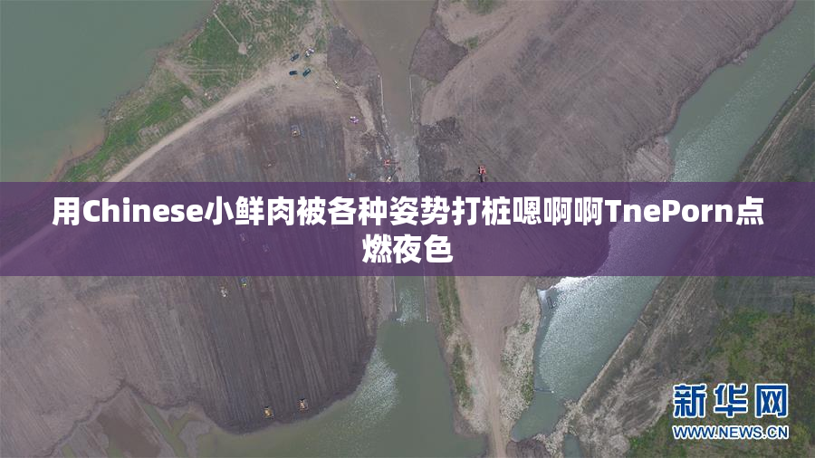 用Chinese小鲜肉被各种姿势打桩嗯啊啊TnePorn点燃夜色