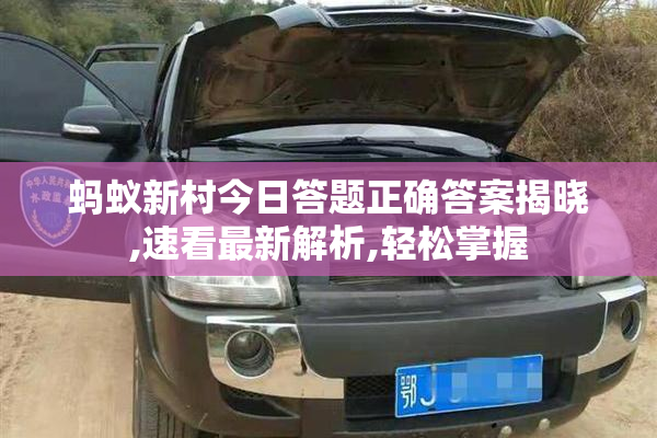 蚂蚁新村今日答题正确答案揭晓,速看最新解析,轻松掌握
