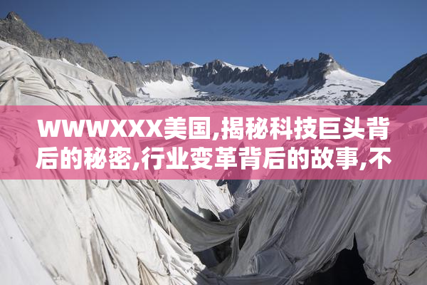 WWWXXX美国,揭秘科技巨头背后的秘密,行业变革背后的故事,不容错过
